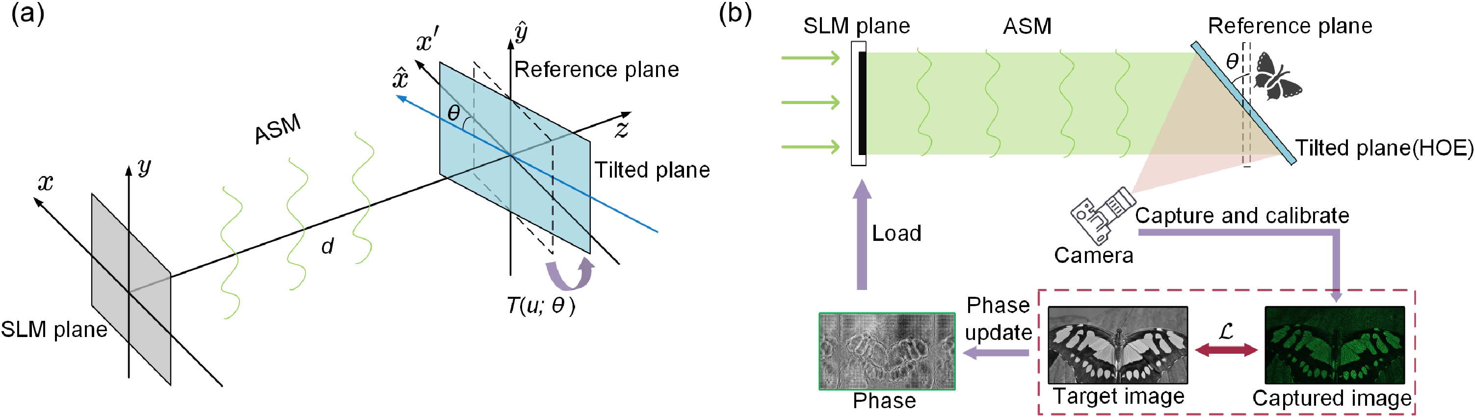 Off-axis holographic augmented reality displays with HOE-empowered and camera-calibrated propagation